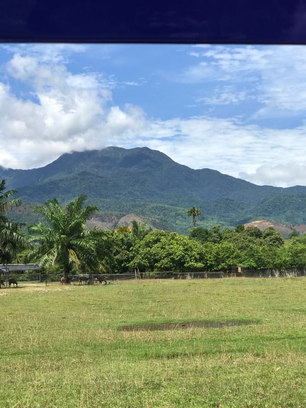 Rural Indonesian landscape documented in Keureuweungkrueng