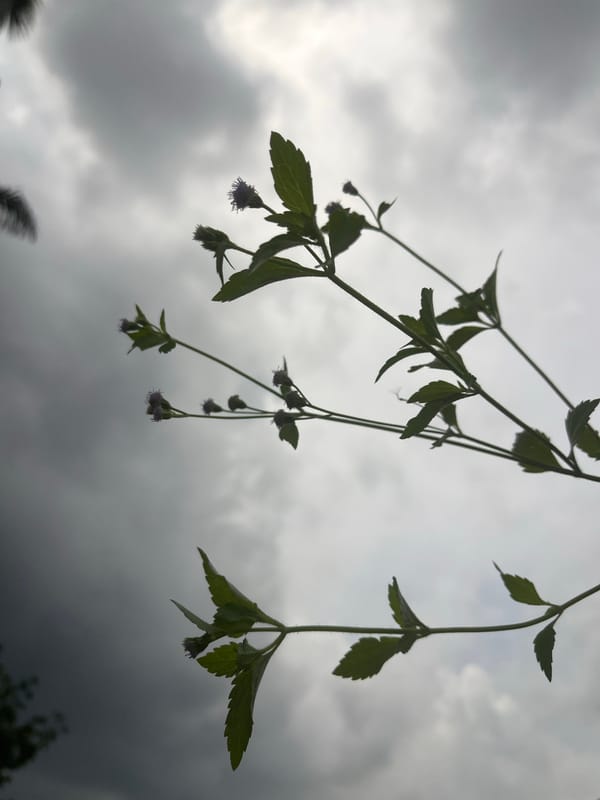 Casual afternoon moments captured in Ikot Ekpene Nigeria