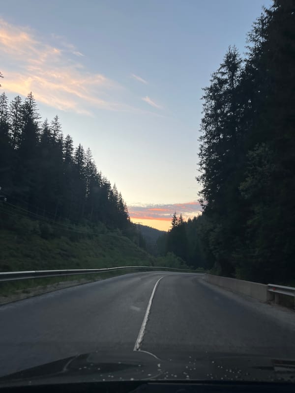 Rural road through evergreen forest documented in Progled, Bulgaria