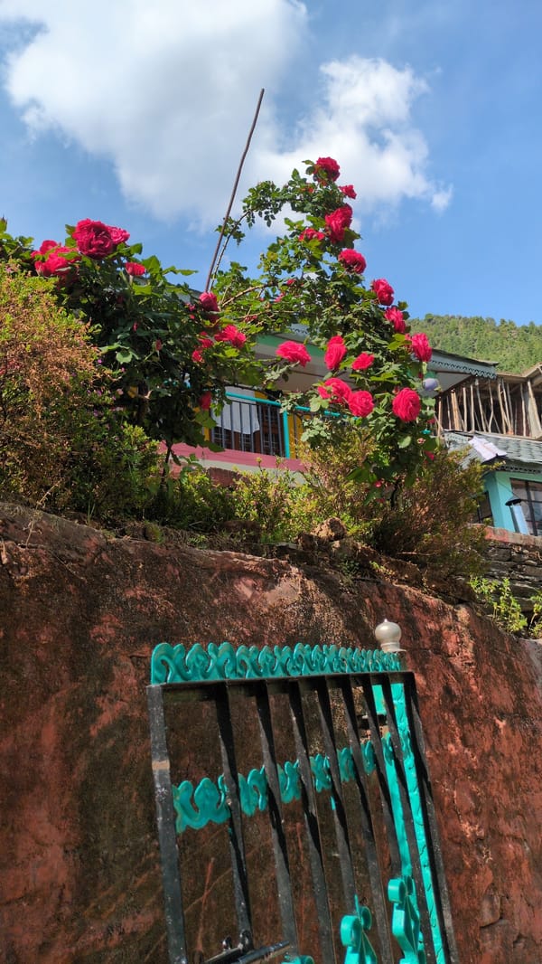 Morning scenes captured in Bhagsu village, India