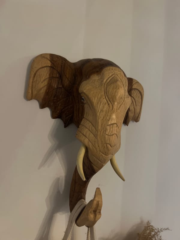 Wooden elephant head carving spotted on wall in Portugal