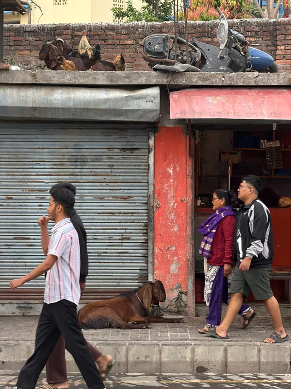 Urban street scenes documented in Kathmandu show everyday city life