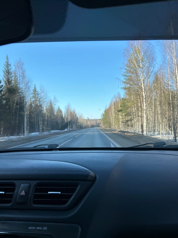 Rural road views through Russian forest documented by travelers