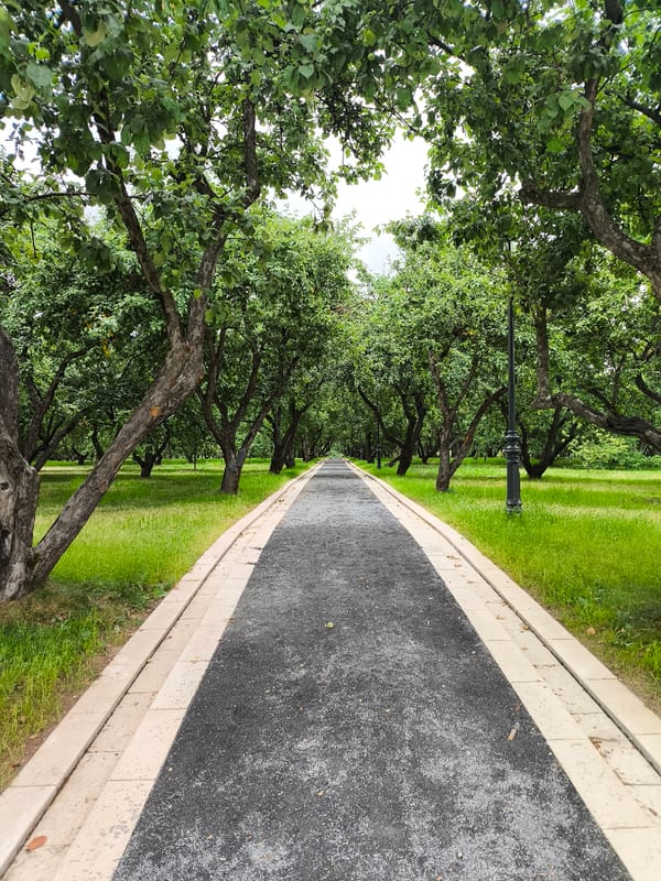 Afternoon in a Moscow park — paths, greenery, and a festival