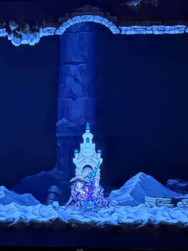 Gaming and cat watching captured in Novi Sad apartment