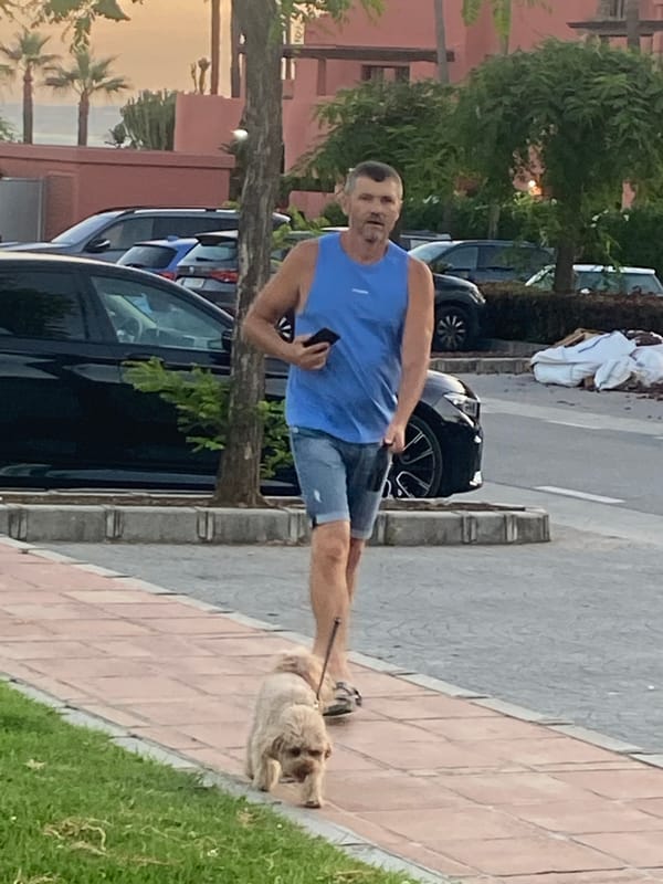 Lazy Costa del Sol evening across Estepona and Resinera-Voladilla