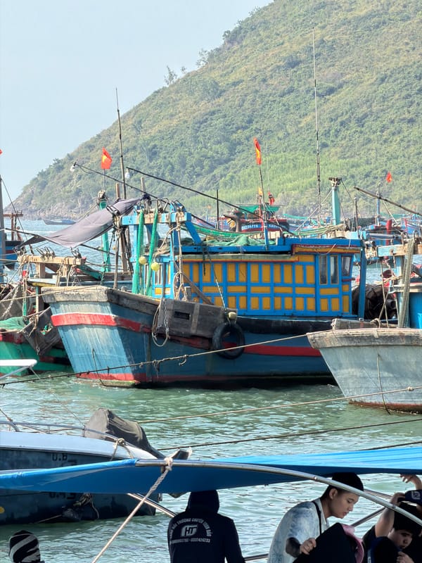 Fishing boats docked in Nha Trang harbor at dawn