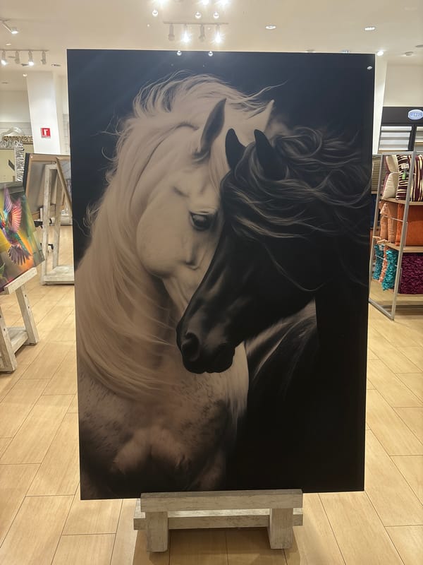 Framed horse photograph spotted in Tampico, Mexico