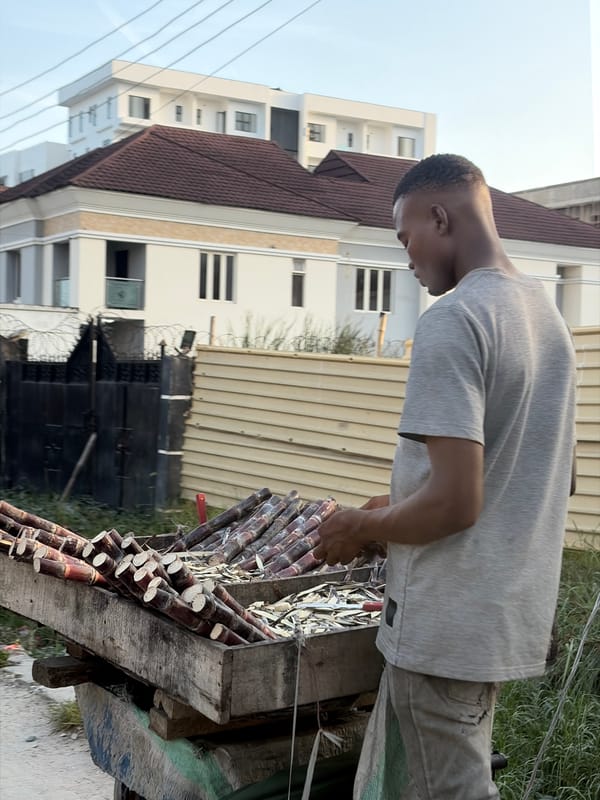 Man examines sugar cane pile in Moba, Nigeria