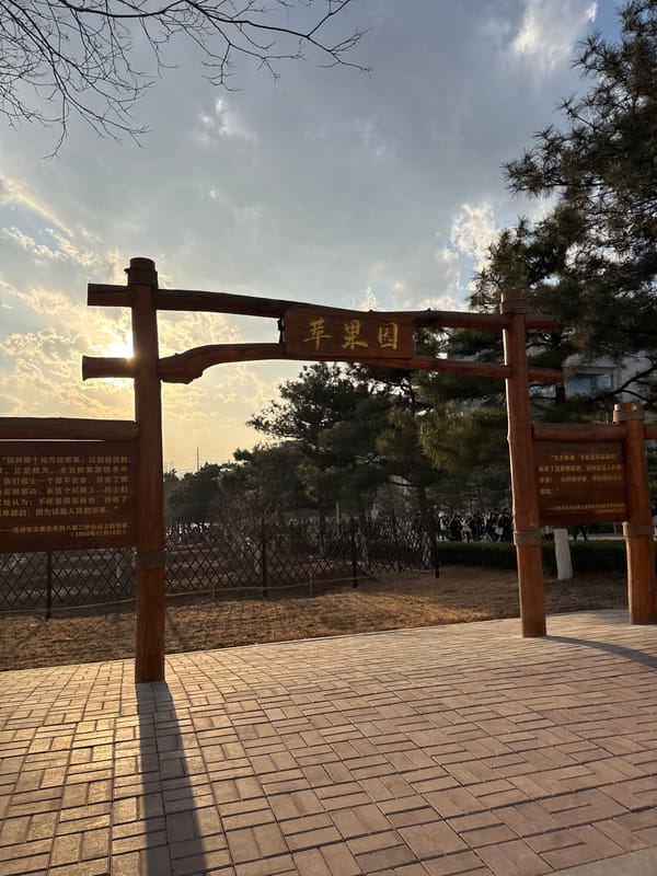 Morning scenes captured at Apple Orchard entrance, Zhongtun China