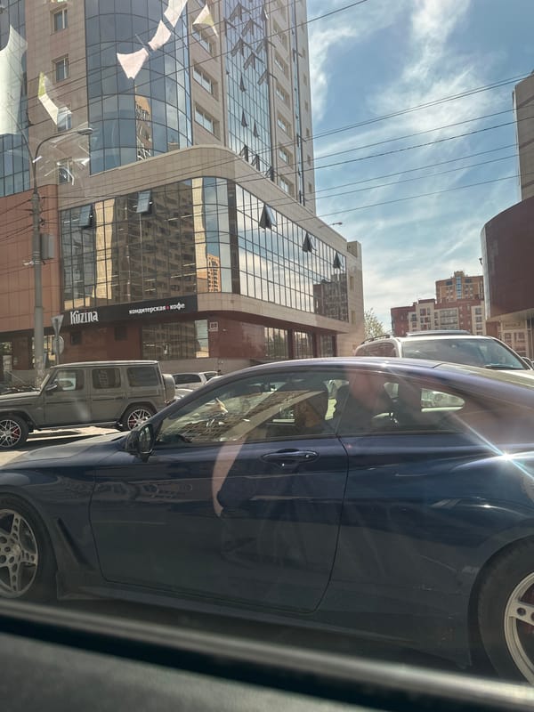Vehicle passengers document sunny urban scenes and amusement park