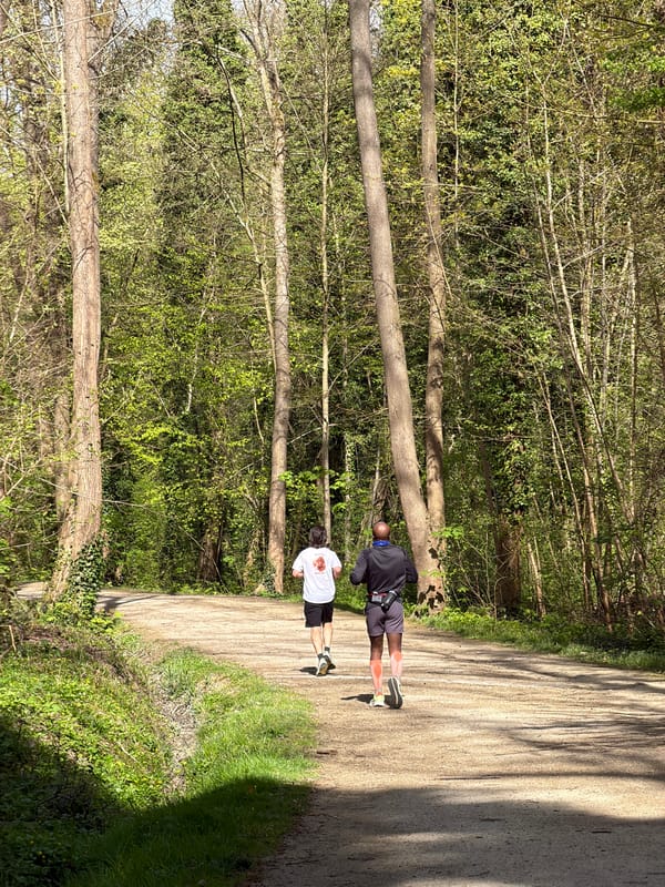 Two men stand on wooded path in Noisiel