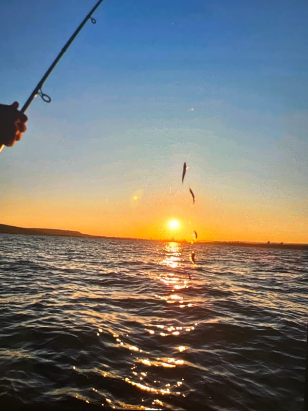 Sunset with silhouetted birds captured over water
