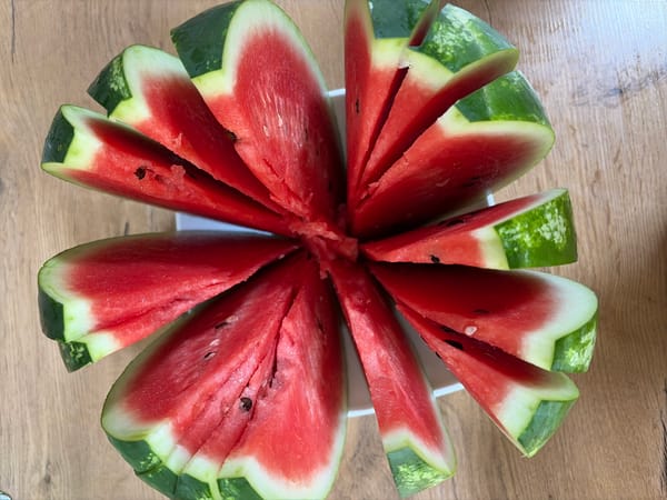 Cats, a toy gator, and watermelon on a Moldovan lawn
