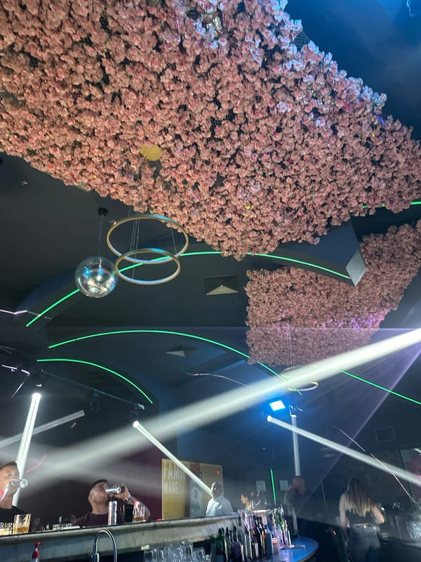 Late night revelry captured at decorated Sliven nightclub