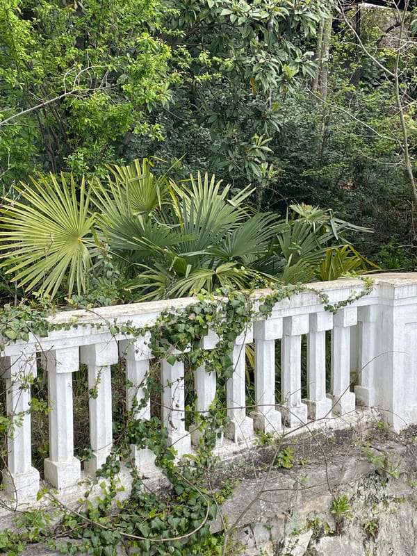 Ivy-covered balustrade observed amid lush vegetation in Abaata
