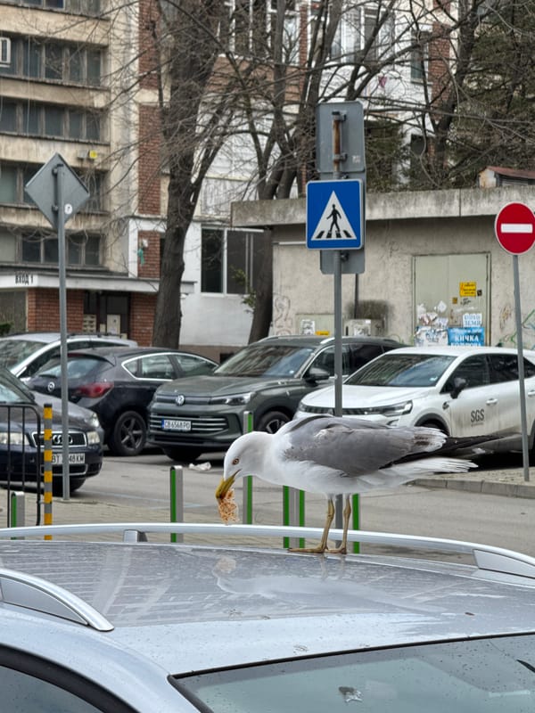 Everyday street life documented in Burgas, Bulgaria