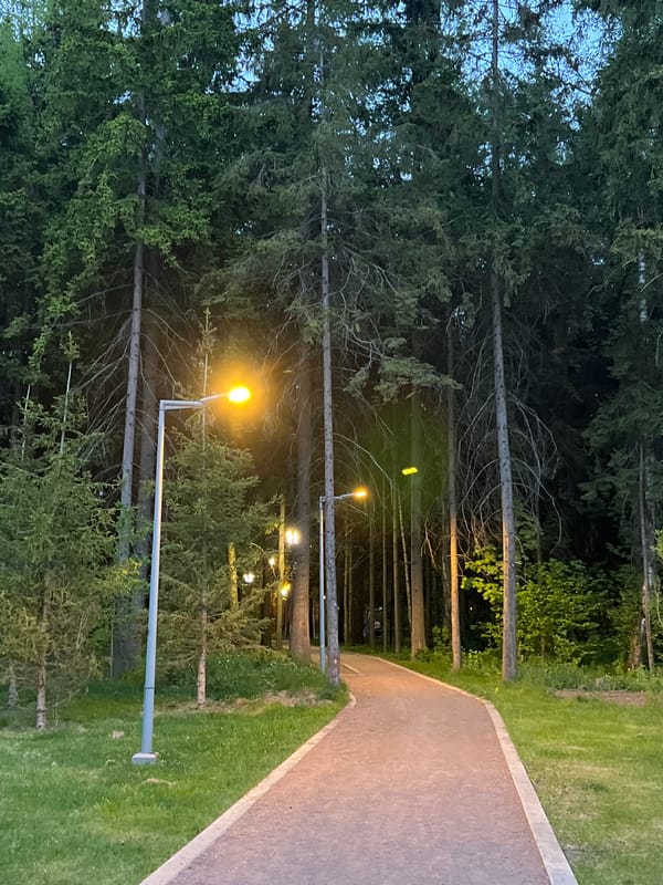 Evening park walk documented in Vnukovo, Russia