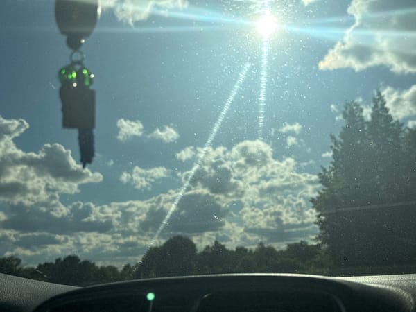 Afternoon drive through Poltava with roadside glimpses and phone content