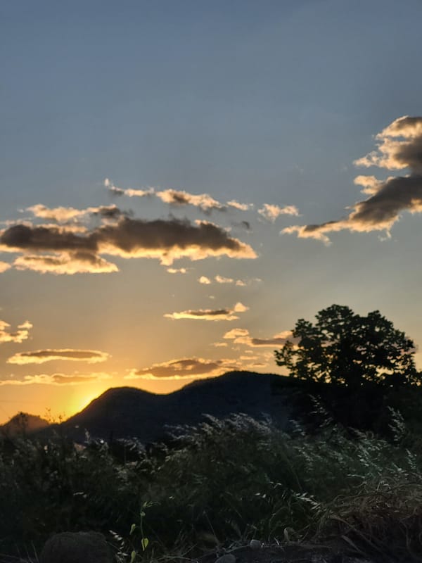 Spring sunset captured across Montenegro countryside with dog, grass