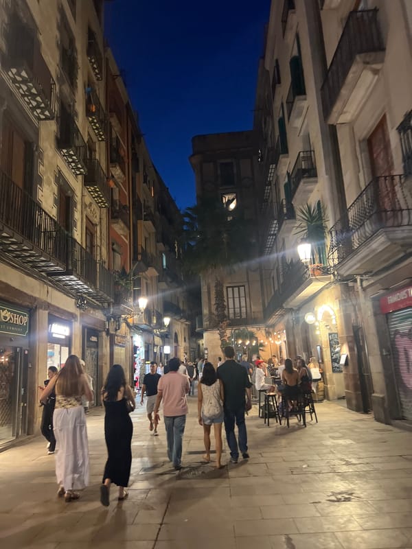 Evening street life documented across Barcelona's Gothic Quarter