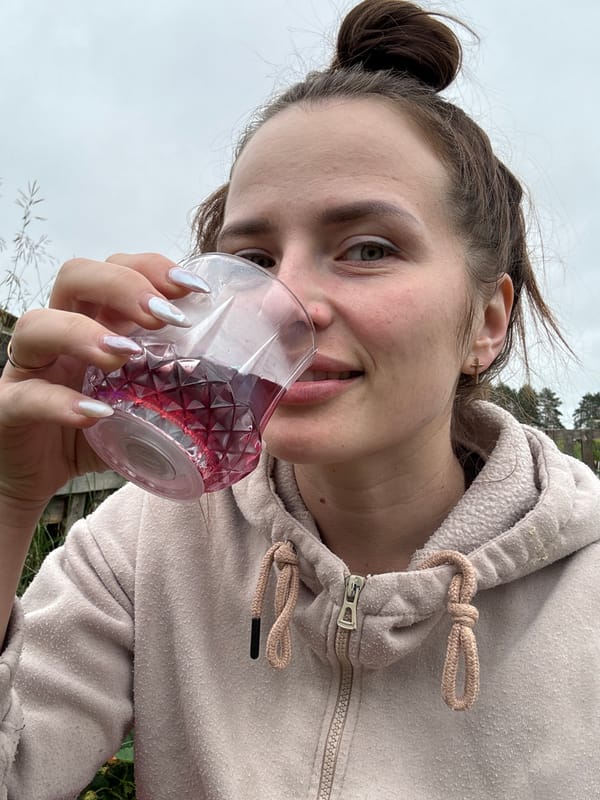 Strawberry picking and summer drinks in a Russian garden