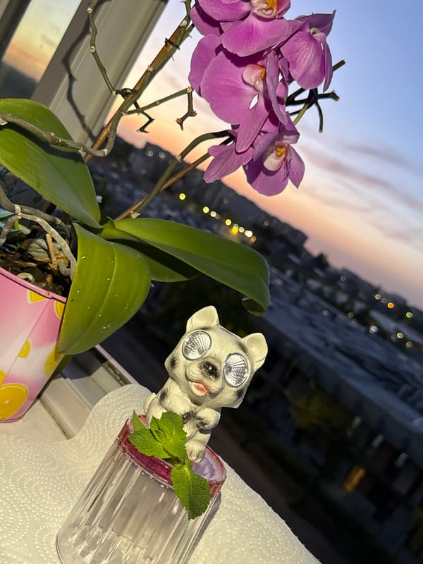 Evening window display of solar-eyed figurines overlooking city dusk