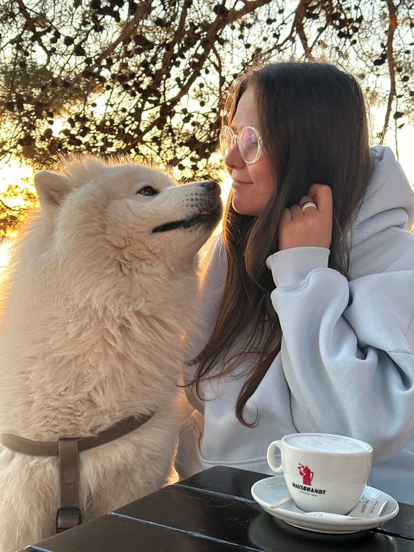 Woman and white dog enjoy golden hour sunset in Montenegro