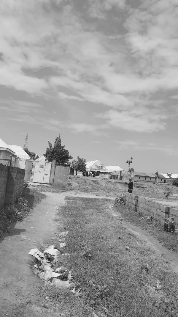 Everyday street life and nature in Jalingo, Nigeria