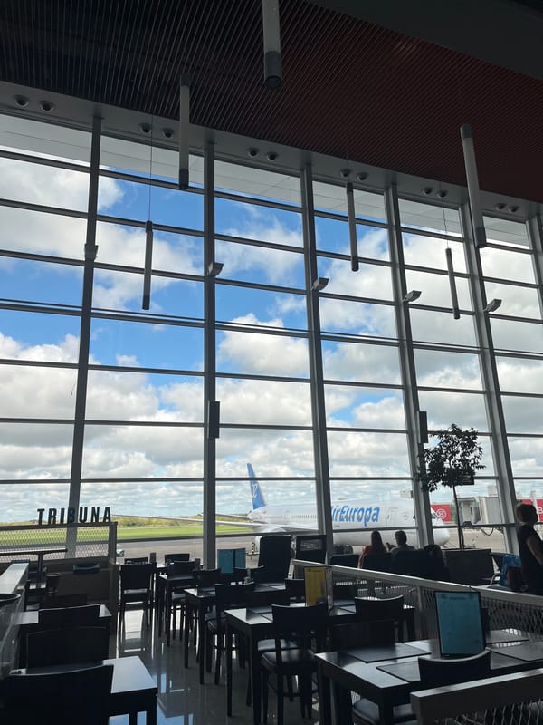 Passenger arrives at Buenos Aires airport from Rome