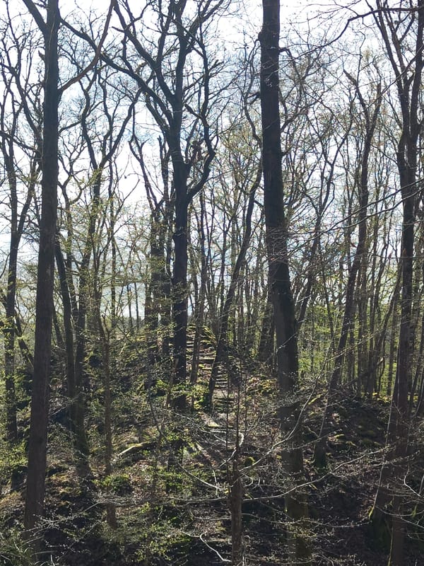 Forest hike documented through Mettlach Germany woods over one hour