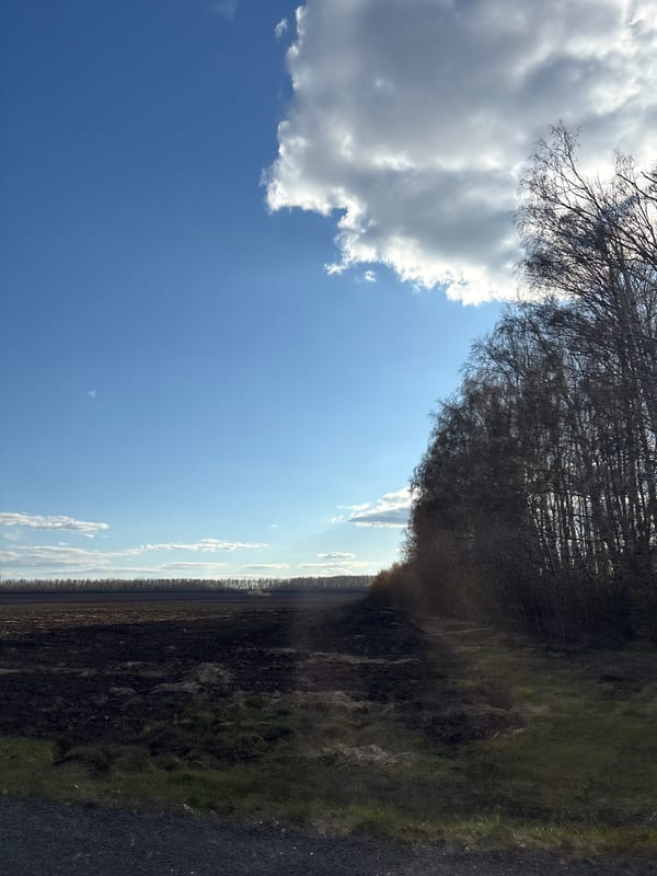 Rural landscape documented in Nizhniye Vyazovye, Russia