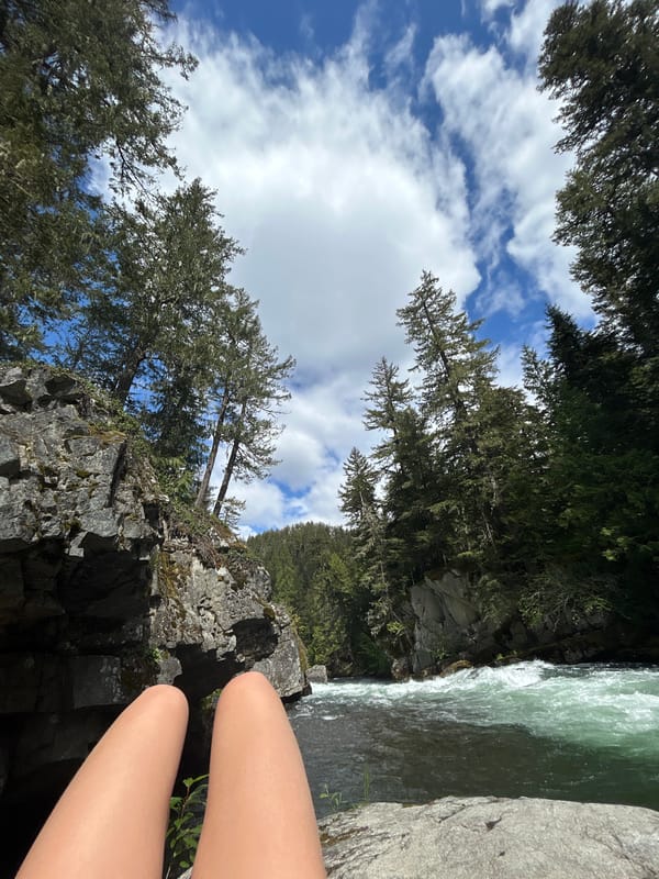 Visitor documents nature walk and meal in Whistler