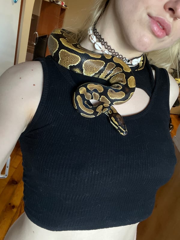 Person photographed with ball python in Plovdiv, Bulgaria