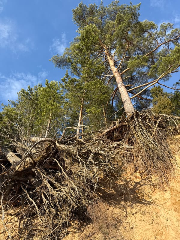 Fossil hunting and cliff documentation in Petrakovo, Russia