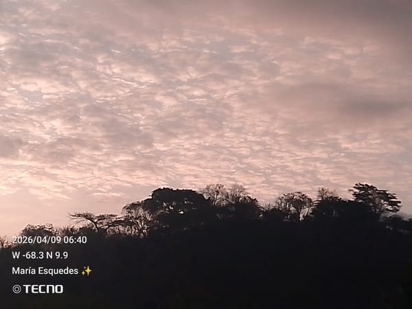 Rural morning documented in Tinaquillo: flowers, chickens, garden life