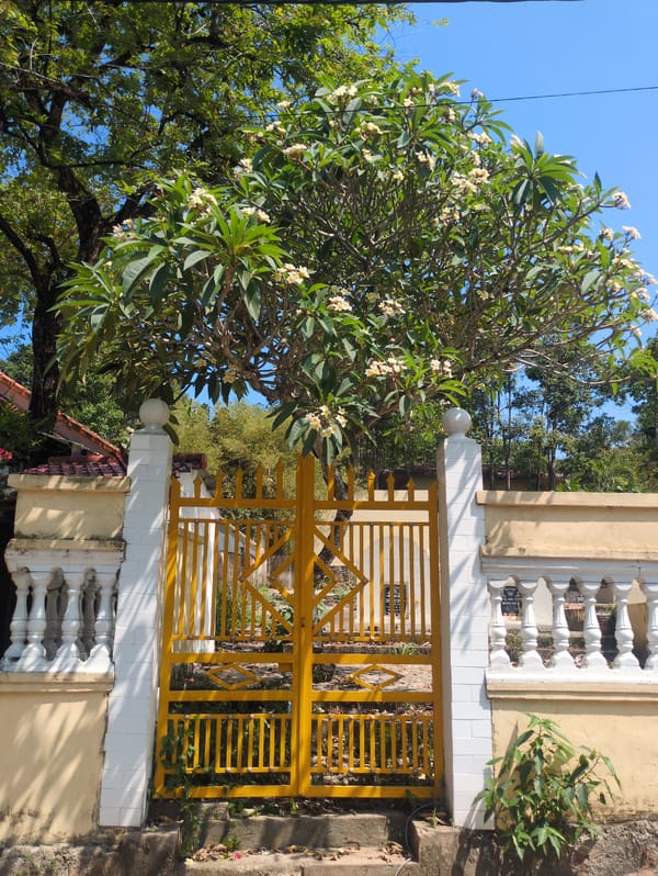 Daily life documented across Phú Quốc island Vietnam