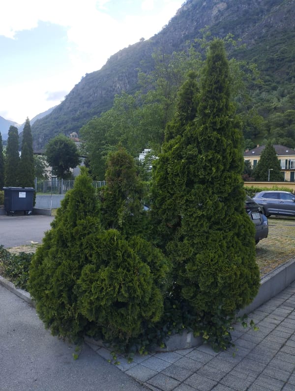 Early morning scenes documented across Biasca, Switzerland