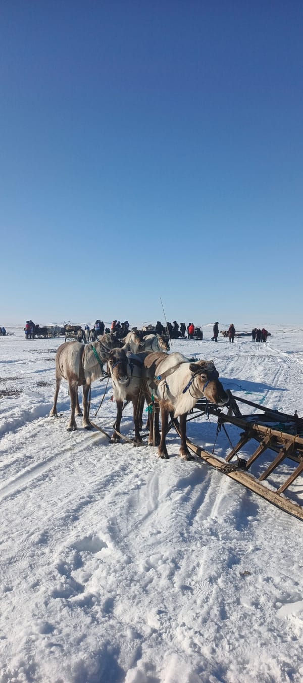 Traditional cultural performance held on snowy tundra in Arctic Russia
