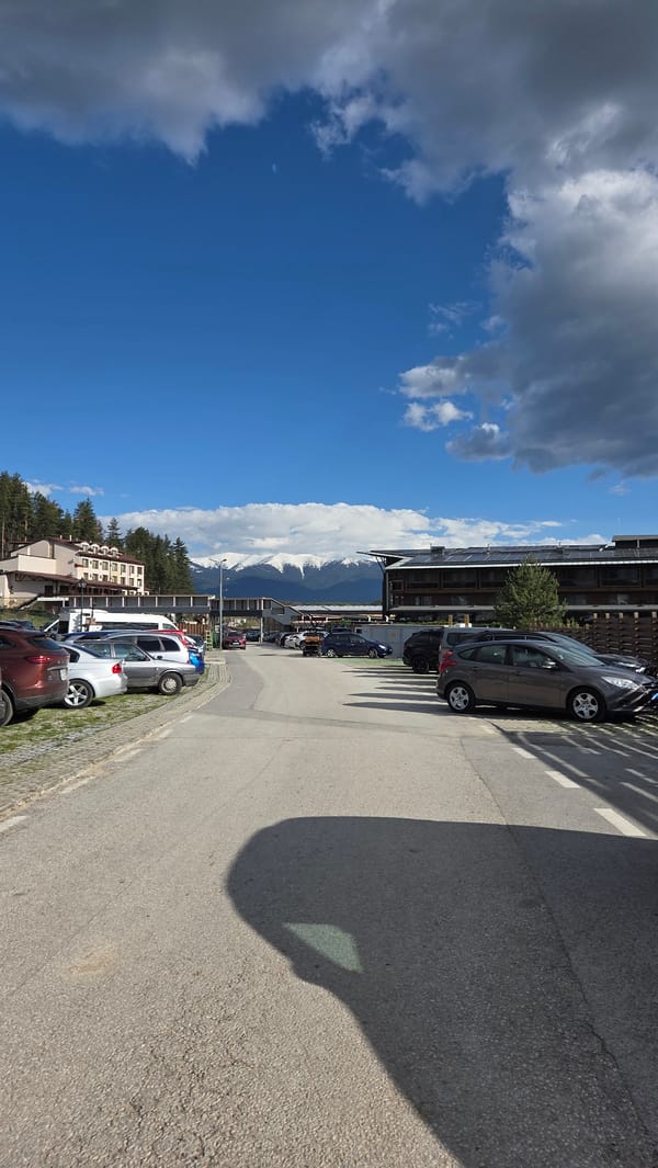 Cars parked along urban roadway observed early morning