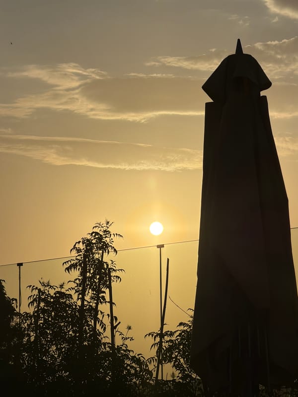 Sunset silhouette captured in Marrakesh, Morocco