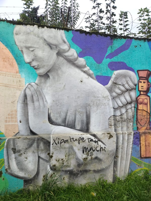 Street art murals documented on Temuco walls