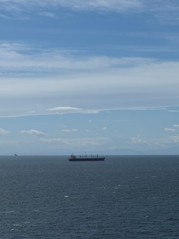 Cargo ship spotted on rough Italian waters