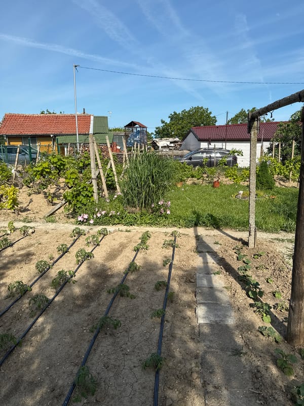 Vegetable garden with irrigation system documented in Varna, Bulgaria