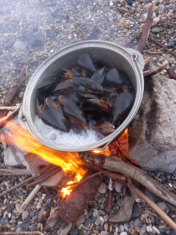 Beach day in Gwandra: mussels on the fire, pebbles underfoot
