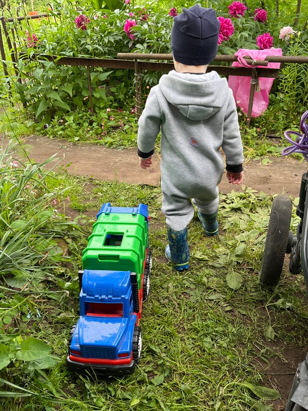 Backyard birthday cookout with a toddler in Chaikovsky