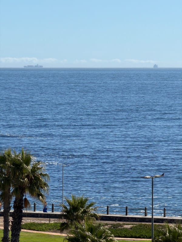 Cape Town residents capture sunflowers and coastal scenes