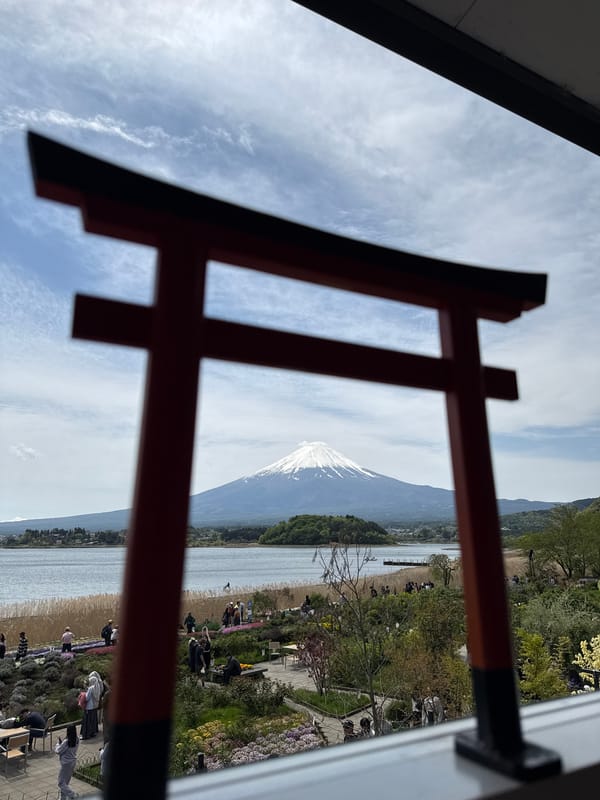 Mount Fuji views captured in Fujikawaguchiko with torii gate