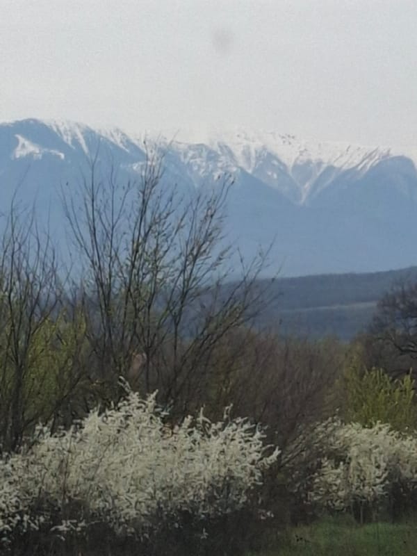 Spring morning landscape captured in Borovtsi, Bulgaria shows snowy mountains