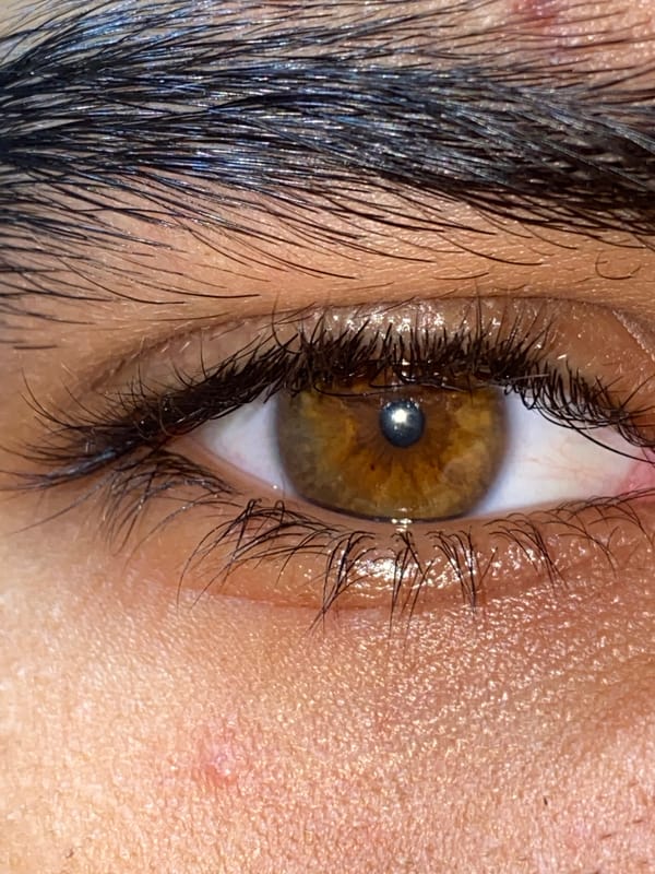 Handmade rose crafts documented under sunny skies in Juan Griego